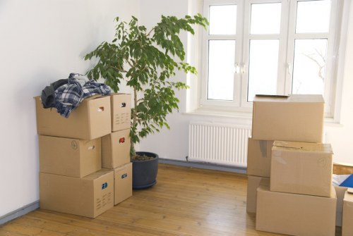 Professional movers transporting boxes during a same day relocation