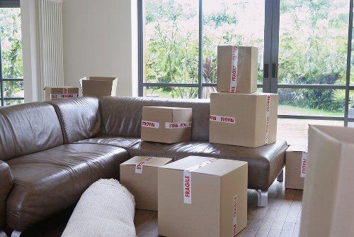 Professional man with van helping with a move in Hackney